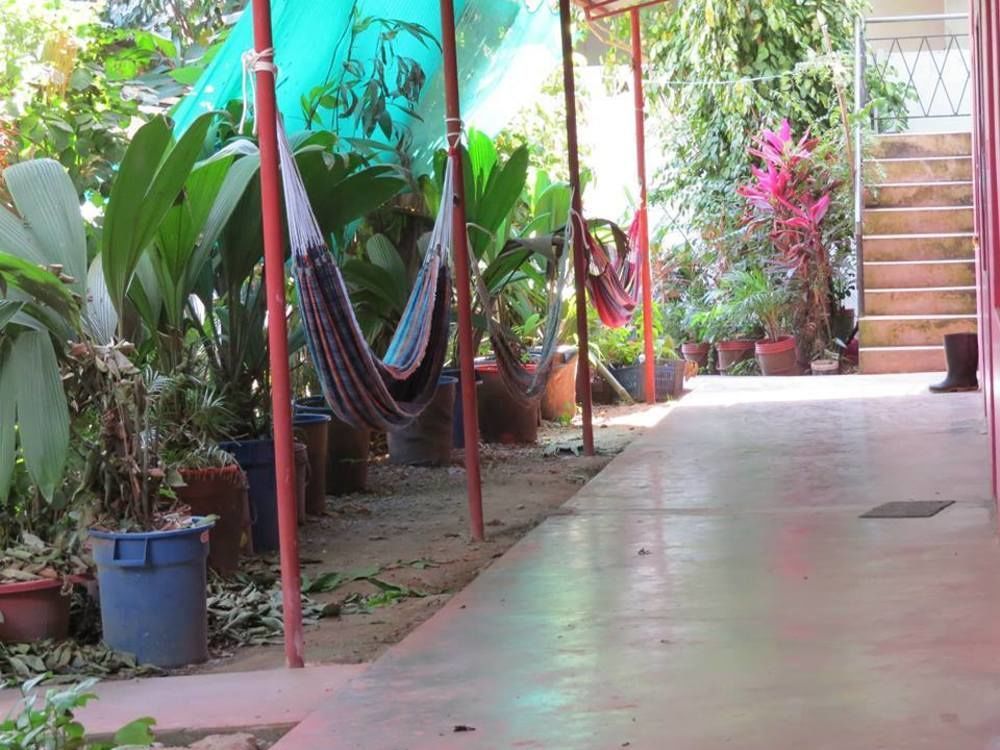 Tambopata Hostel Bambu Puerto Maldonado Exterior photo