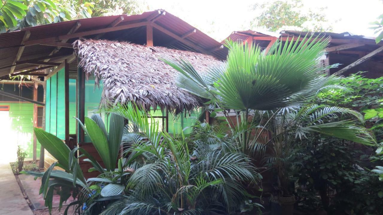 Tambopata Hostel Bambu Puerto Maldonado Exterior photo